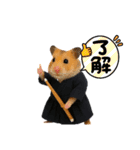 ハムさん剣道はじめました（個別スタンプ：2）