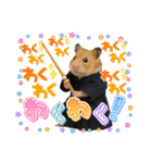 ハムさん剣道はじめました（個別スタンプ：4）