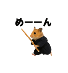 ハムさん剣道はじめました（個別スタンプ：6）