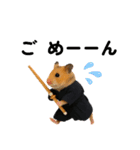 ハムさん剣道はじめました（個別スタンプ：7）