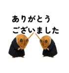 ハムさん剣道はじめました（個別スタンプ：10）