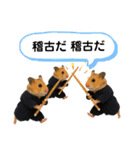 ハムさん剣道はじめました（個別スタンプ：11）