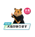 ハムさん剣道はじめました（個別スタンプ：15）