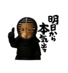 ハムさん剣道はじめました（個別スタンプ：20）