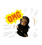 ハムさん剣道はじめました（個別スタンプ：24）