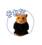 ハムさん剣道はじめました（個別スタンプ：25）