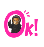 ハムさん剣道はじめました（個別スタンプ：28）