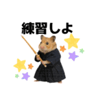 ハムさん剣道はじめました（個別スタンプ：29）