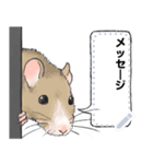 ファンシーラットのメッセージスタンプ2（個別スタンプ：2）