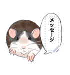 ファンシーラットのメッセージスタンプ2（個別スタンプ：3）