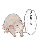 ファンシーラットのメッセージスタンプ2（個別スタンプ：6）