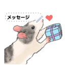 ファンシーラットのメッセージスタンプ2（個別スタンプ：7）