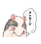 ファンシーラットのメッセージスタンプ2（個別スタンプ：9）