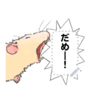 ファンシーラットのメッセージスタンプ2（個別スタンプ：13）