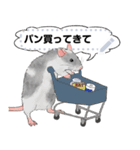 ファンシーラットのメッセージスタンプ2（個別スタンプ：14）