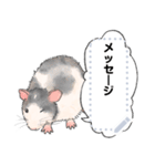 ファンシーラットのメッセージスタンプ2（個別スタンプ：15）