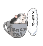 ファンシーラットのメッセージスタンプ2（個別スタンプ：17）