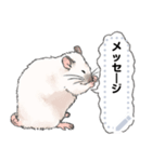 ファンシーラットのメッセージスタンプ2（個別スタンプ：18）