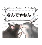 ファンシーラットのメッセージスタンプ2（個別スタンプ：19）