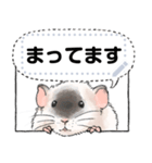 ファンシーラットのメッセージスタンプ2（個別スタンプ：20）