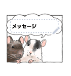 ファンシーラットのメッセージスタンプ2（個別スタンプ：21）