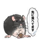 ファンシーラットのメッセージスタンプ2（個別スタンプ：24）