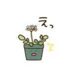 ケープバルブ（個別スタンプ：7）