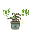 ケープバルブ（個別スタンプ：10）