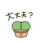 ケープバルブ（個別スタンプ：26）