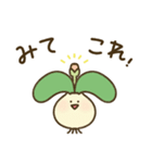 ケープバルブ（個別スタンプ：30）