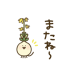 ケープバルブ（個別スタンプ：38）