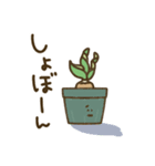 ケープバルブ（個別スタンプ：39）