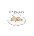 仕事で使いやすいトイプー(アプリコット)（個別スタンプ：2）