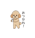 仕事で使いやすいトイプー(アプリコット)（個別スタンプ：4）