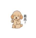 仕事で使いやすいトイプー(アプリコット)（個別スタンプ：6）