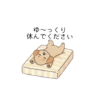 仕事で使いやすいトイプー(アプリコット)（個別スタンプ：8）