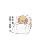 仕事で使いやすいトイプー(アプリコット)（個別スタンプ：9）
