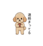 仕事で使いやすいトイプー(アプリコット)（個別スタンプ：12）