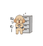 仕事で使いやすいトイプー(アプリコット)（個別スタンプ：13）