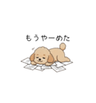 仕事で使いやすいトイプー(アプリコット)（個別スタンプ：16）