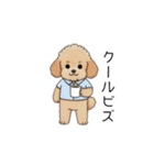 仕事で使いやすいトイプー(アプリコット)（個別スタンプ：19）