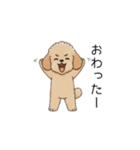 仕事で使いやすいトイプー(アプリコット)（個別スタンプ：22）