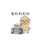 仕事で使いやすいトイプー(アプリコット)（個別スタンプ：23）