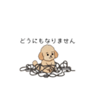 仕事で使いやすいトイプー(アプリコット)（個別スタンプ：25）