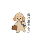 仕事で使いやすいトイプー(アプリコット)（個別スタンプ：26）