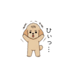 仕事で使いやすいトイプー(アプリコット)（個別スタンプ：29）