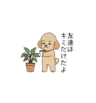 仕事で使いやすいトイプー(アプリコット)（個別スタンプ：32）