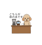 仕事で使いやすいトイプー(アプリコット)（個別スタンプ：34）