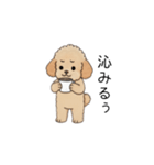 仕事で使いやすいトイプー(アプリコット)（個別スタンプ：35）