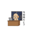 仕事で使いやすいトイプー(アプリコット)（個別スタンプ：37）
